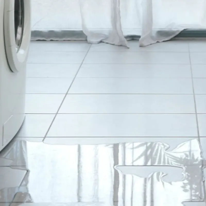 Appliance Leak Cleanup in Yacolt, WA