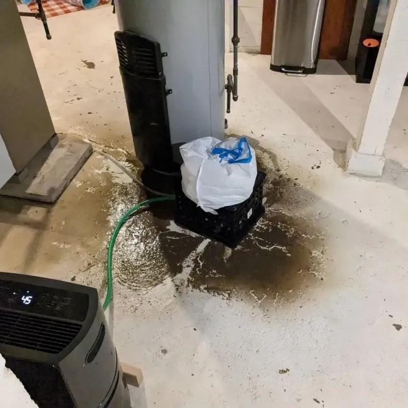 Sewage Backup Cleanup Service in Yacolt, WA